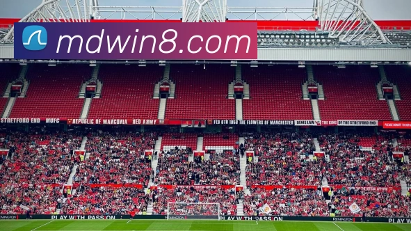 摩登娱乐官网平台生态图